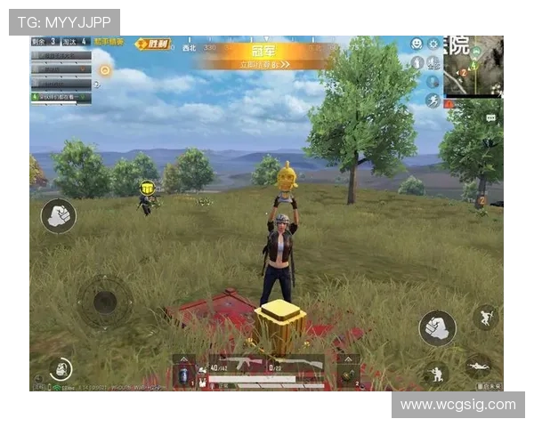 必赢的网址如何选择才能保证安全与高效的游戏体验 必赢的网址如何选择才能保证安全与高效的游戏体验